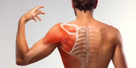 Advanced Anatomy & Physiology - QLS Level 3 Course