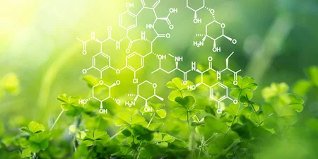 Biology AS Level Course