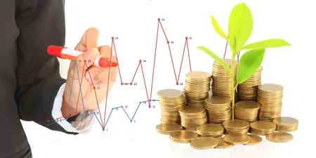 Business Finance - QLS Level 2 Course