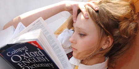 English Functional Skills - Level 2 Course